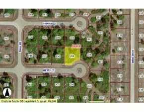Betty Ct, Rotonda Sands, FL 33947