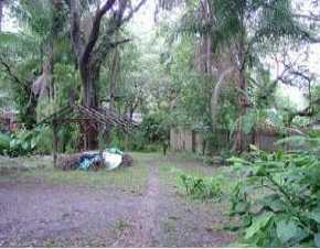 9346 Hull Ave, Arcadia, FL 34266