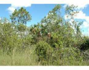 30630 Oil Well Rd., Punta Gorda, FL 33955