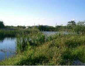 14246 Aurella Cir., Port Charlotte, FL 33981