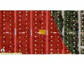 3111 Olney Street, Port Charlotte, FL 33948