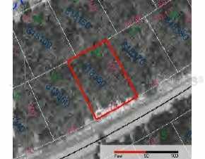 Poinciana, Out Of Area, FL 99999