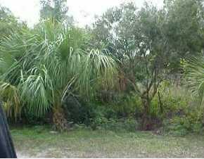 Oxford Heights Ct., Englewood, FL 34223