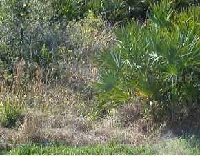 Lagrange Ave, North Port, FL 34290