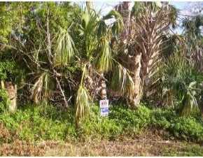 1596 Birchcrest Blvd., Port Charlotte, FL 33952