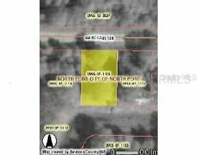 Narcissus, Port Charlotte, FL 34287