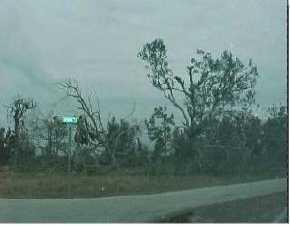 29230 Gondolier Ave Ave., Punta Gorda, FL 33982