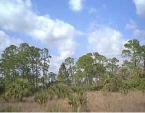 23 Amnesty Dr, North Port, FL 34289