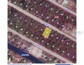 13395 Bouvardia Ln., Port Charlotte, FL 33981