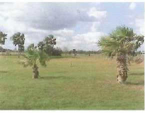 1 The Habitat, Arcadia, FL 34267