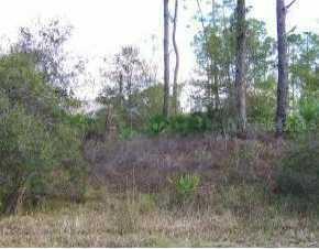 Circleville Street, North Port, FL 34286