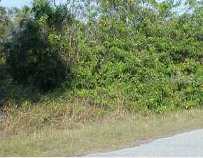 18536 Jay Ave., Port Charlotte, FL 33948