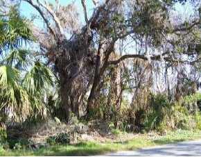 21468 Dawson Ave, Port Charlotte, FL 33952