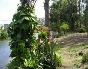 11322 First Ave., Punta Gorda, FL 33955