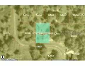 Nell, North Port, FL 34287