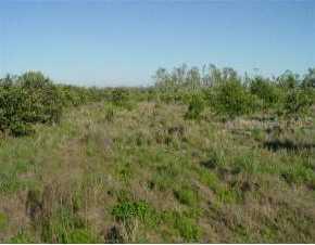 Labrador Lane, Arcadia, FL 34269