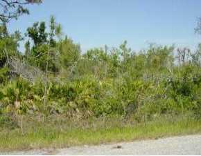 51 San Juan Dr, Punta Gorda, FL 33982