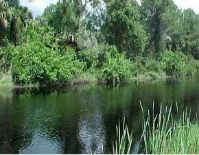 Dalhart Avenue, North Port, FL 34286