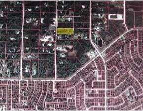 Beedla Lane, North Port, FL 34286