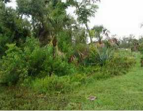 4339 Shappell St, Port Charlotte, FL 33948