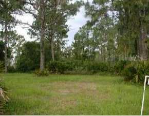 111 Cuiaba Dr, Punta Gorda, FL 33983