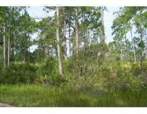 Landrum St., North Port, FL 34287