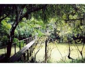 1998 Goathill St, Arcadia, FL 34266
