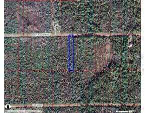 Shady Hollow, Naples, FL 34120