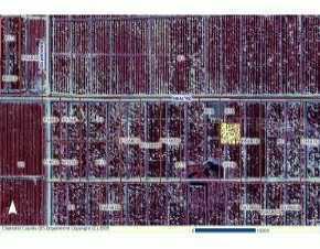 Neal, Punta Gorda, FL 33982