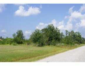 10149 Levsky, Arcadia, FL 34266