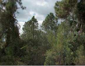 1235 Hester St, Port Charlotte, FL 33953