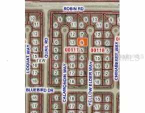 29 Yellow  Elder Wy, Rotonda West, FL 33947