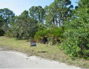 Musgrove St, Port Charlotte, FL 33954