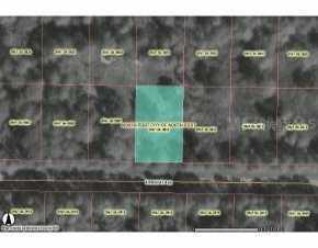 Kumquat, North Port, FL 34287