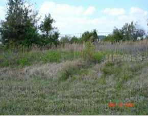 453 Bolender Street, Punta Gorda, FL 33982