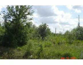 6557 Pine Hill Dr, Arcadia, FL 34266