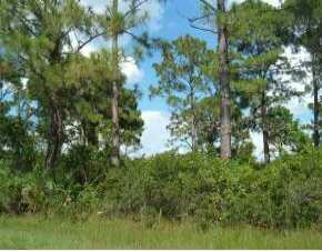 3470 Lindgren St St., Port Charlotte, FL 33981