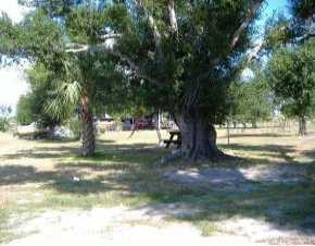 Carmalita St, Punta Gorda, FL 33950