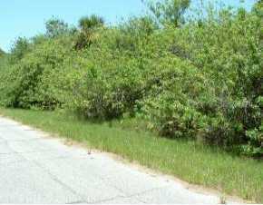 12030 Waterman Ave., Port Charlotte, FL 33981
