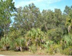 Malibu Lane, North Port, FL 34286