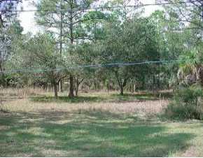 14331 Pennycamp Avenue, Port Charlotte, FL 33953