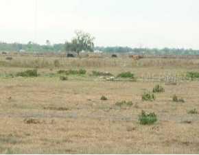 Off Lily, Arcadia, FL 34266