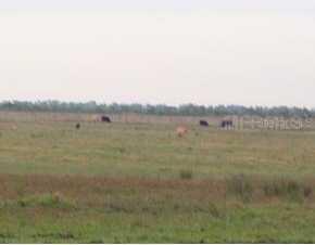 Kellison & Berry Sub, Arcadia, FL 34266