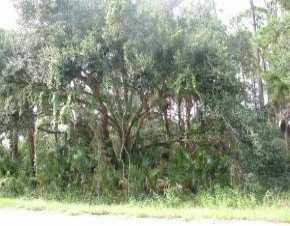 18172 Goliad Avenue, Port Charlotte, FL 33954