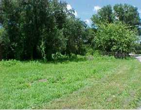 Lee Ave, Arcadia, FL 34266