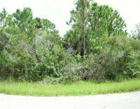 13447 Walmsley Ave, Port Charlotte, FL 33953