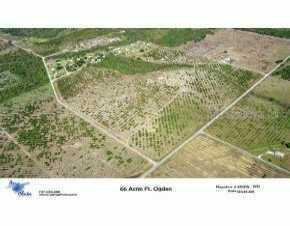 Collins Street, Arcadia, FL 34269