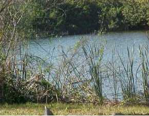 6365 Golf Course Blvd, Punta Gorda, FL 33982