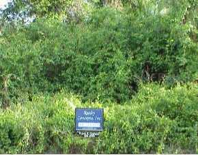 Atwater Dr., North Port, FL 34288