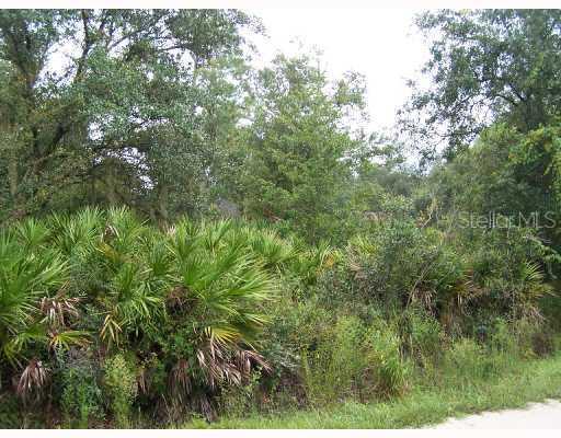 Blossom Ave., Arcadia, FL 34266